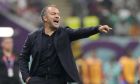 Germany's head coach Hansi Flick reacts during the World Cup group E soccer match between Costa Rica and Germany at the Al Bayt Stadium in Al Khor , Qatar, Thursday, Dec. 1, 2022. (AP Photo/Martin Meissner)